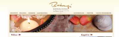 Bodrogi Kúria Wellness Hotel**** Bodrogi Kúria Wellness Hotel****