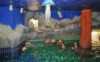 5 csillagos minstst kapott az Aqua-Palace lmnyfrd - interj Czegldi Gyula vezrigazgatval