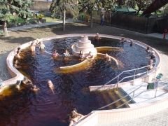 Gyógyfürdő - Polip.