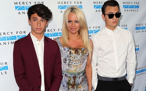 Pamela Anderson fia modell lett
